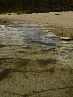 P1170254