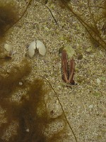 P1170255
