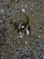 P1170265