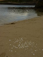 P1170271