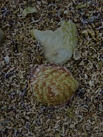 P1170235