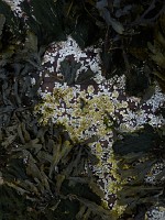 P1170239