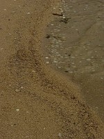 P1170243