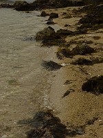 P1170246