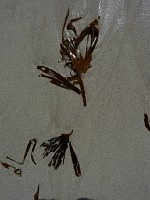 P1150478