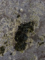 P1150483