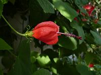 P1110186