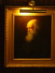 P1130145