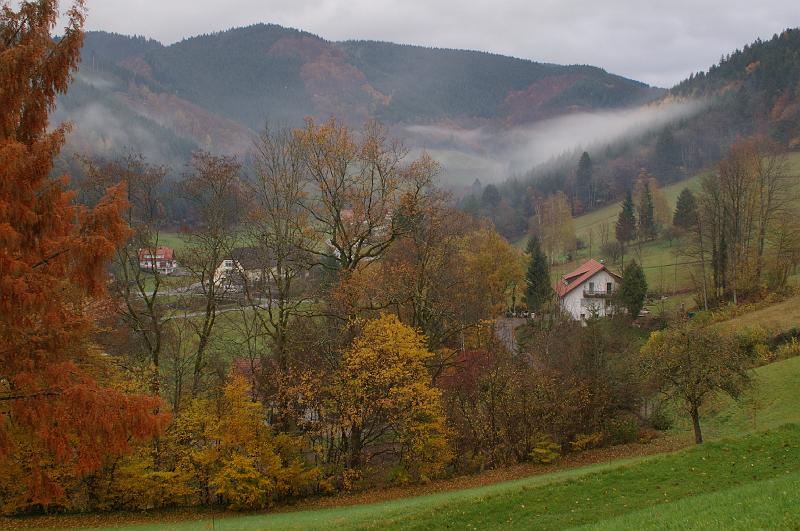 IMGP3474