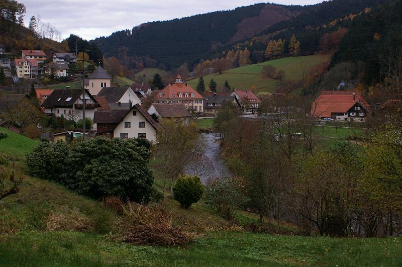 IMGP3492
