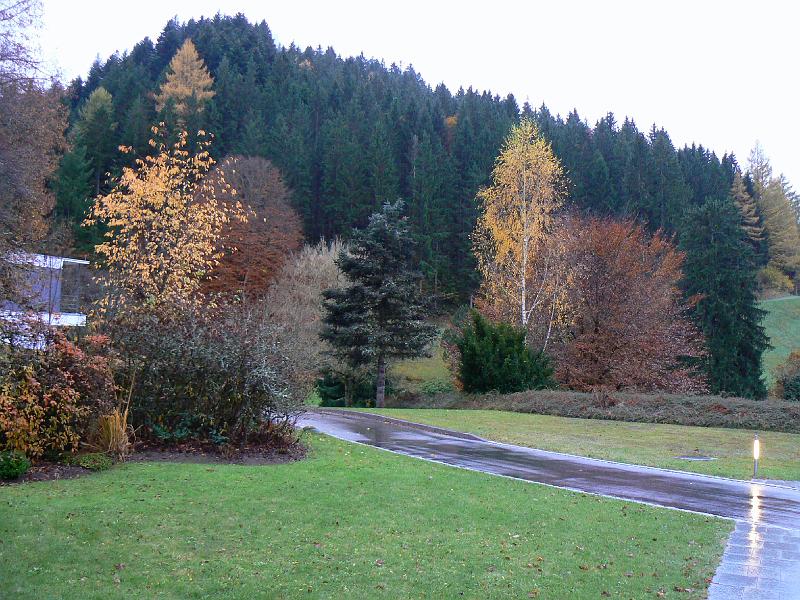 P1150034