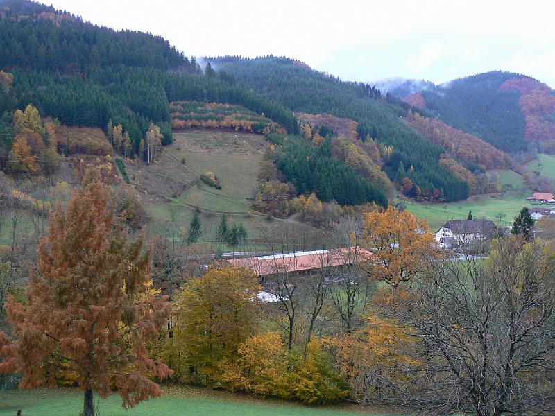 P1150054