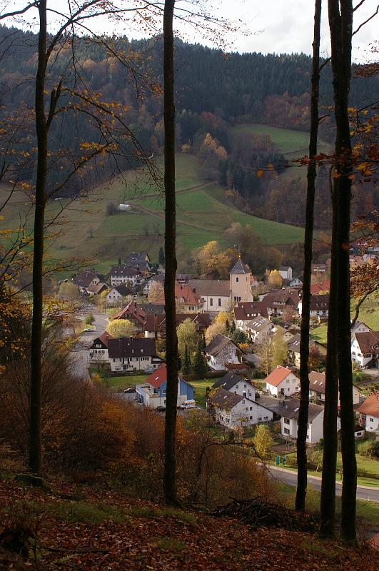 IMGP3406