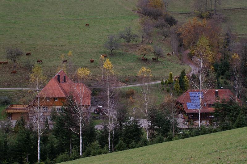 IMGP3285