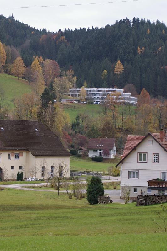 IMGP3301
