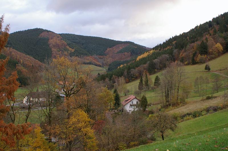 IMGP3311