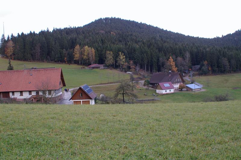 IMGP3344