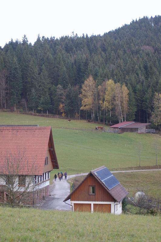 IMGP3345