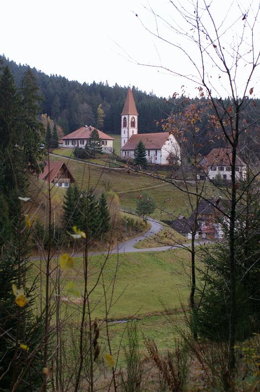 IMGP3347