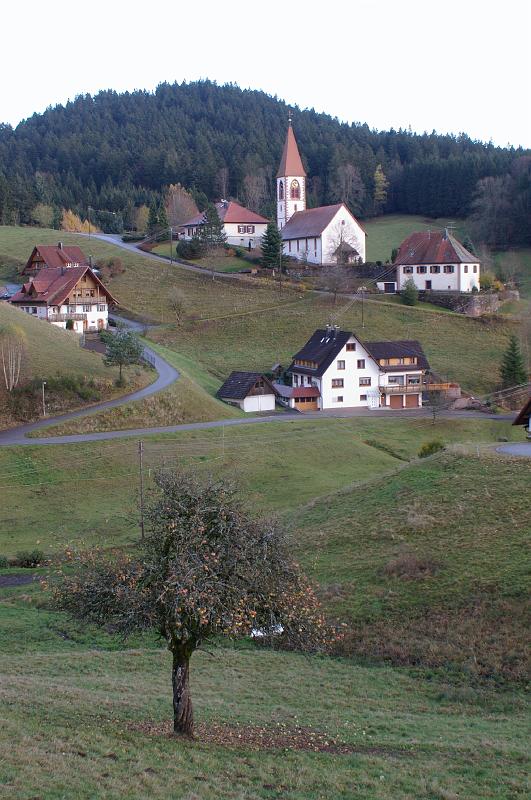 IMGP3376