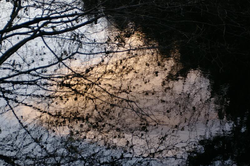 IMGP3387