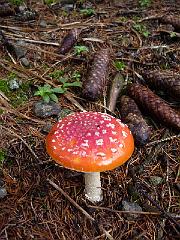 P1110933