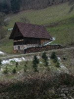 P1050793