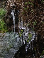P1050794