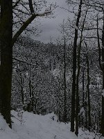 P1050445