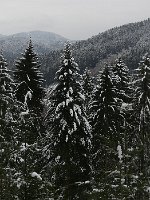 P1050447