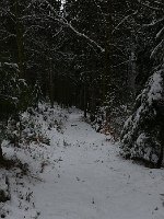 P1050449