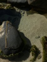 P1000406