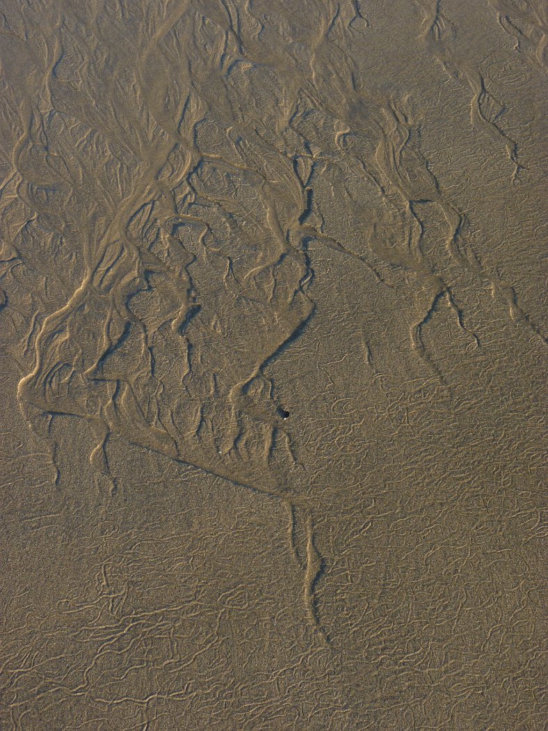P1170806