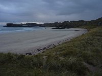 oldshoremore