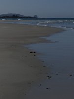 P1000624r