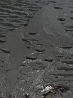 P1010564