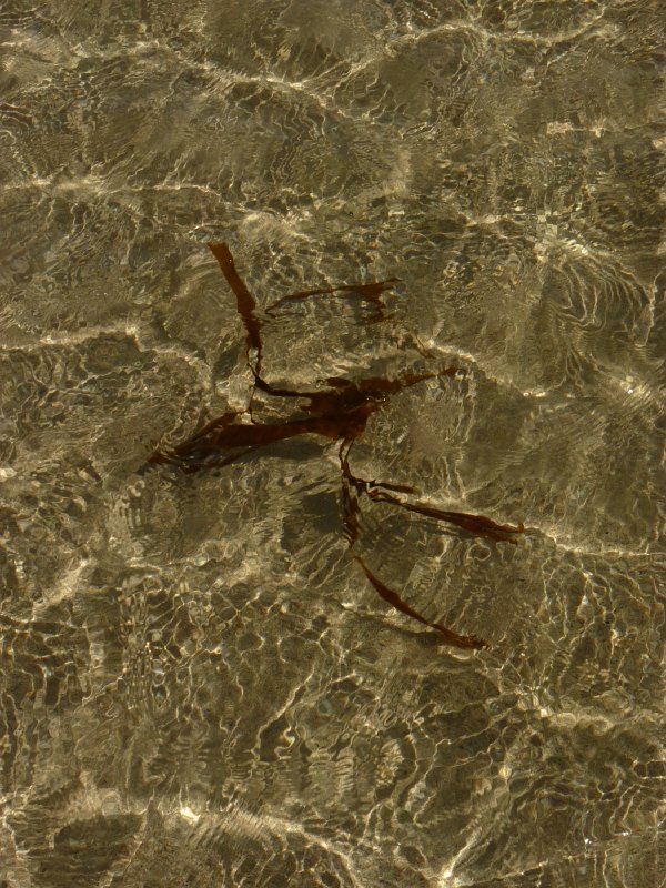 Original image