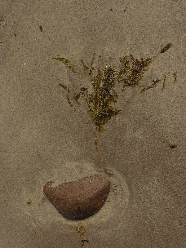 Original image