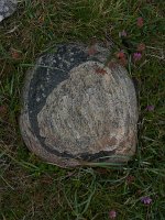 P1010686