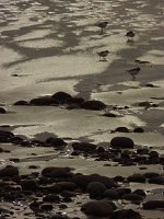 P1120682