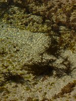 P1150560x