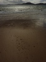 P1150680e