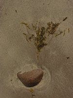 P1160368