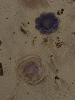 P1170211