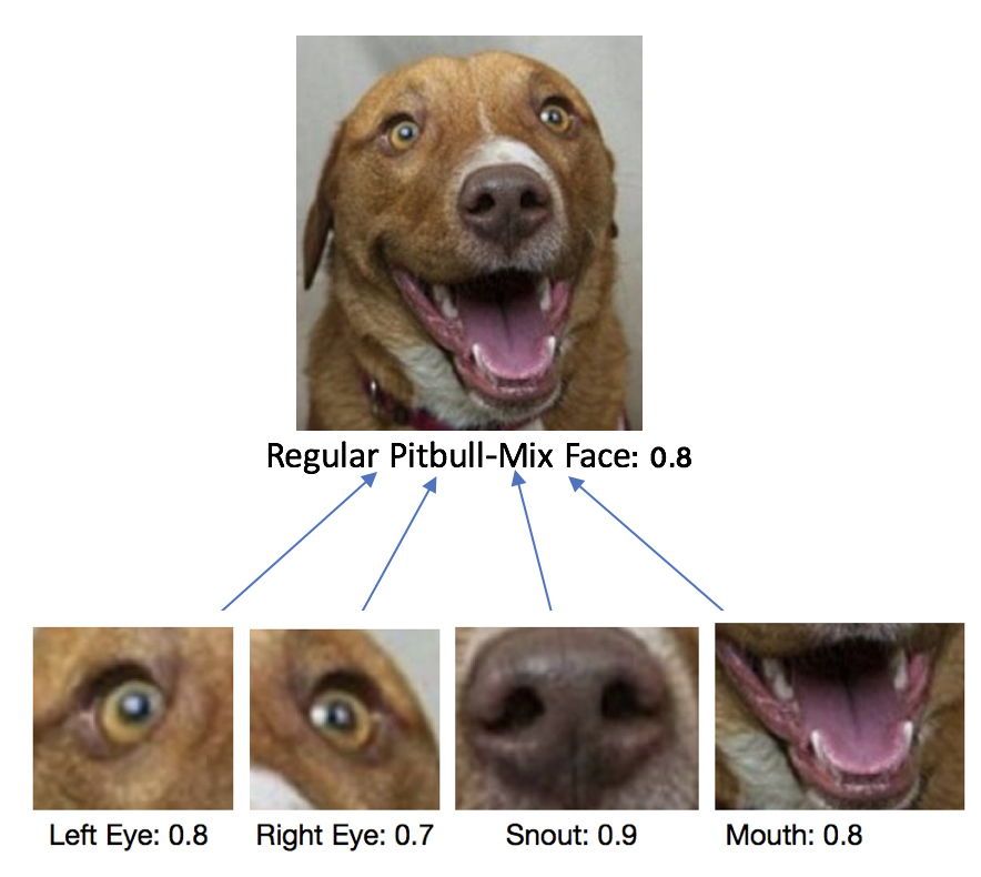 Parse Tree Structure by Capsule Networks