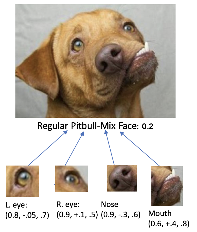 Part-whole relationship by Capsule Networks